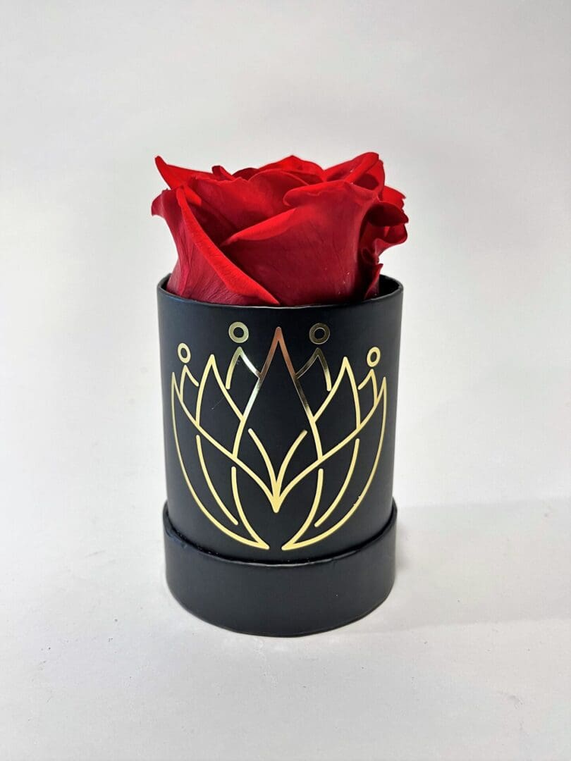 Single Red Forever Rose with red bucket