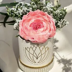 Forever Extra Large Peony